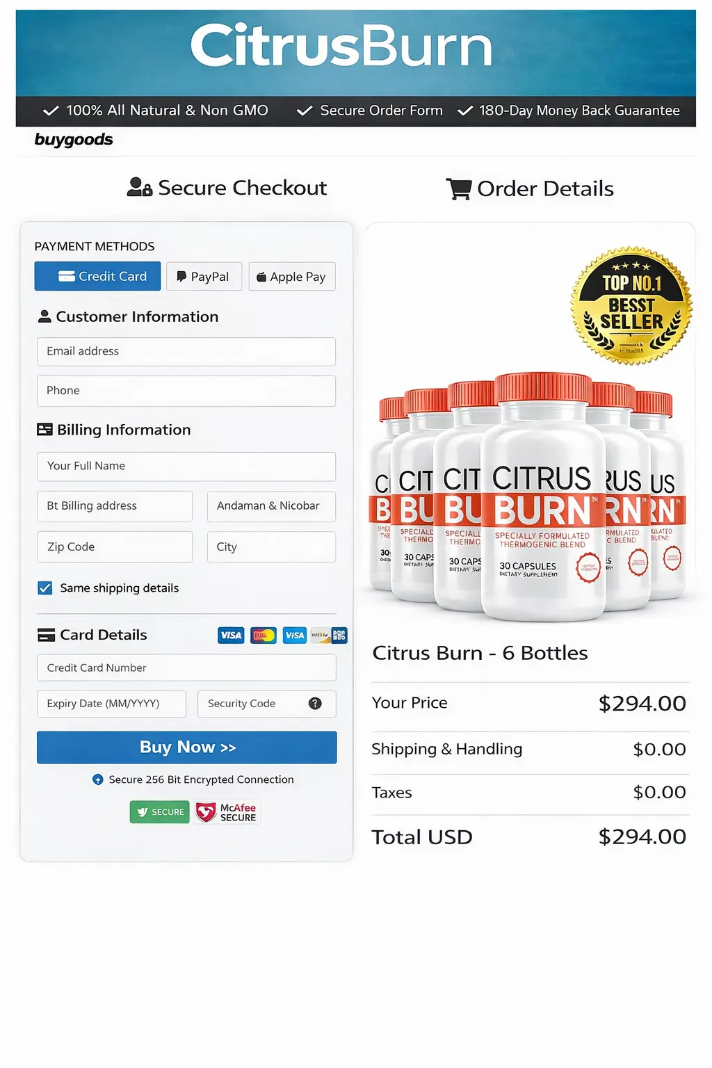 Secure Checkout Form